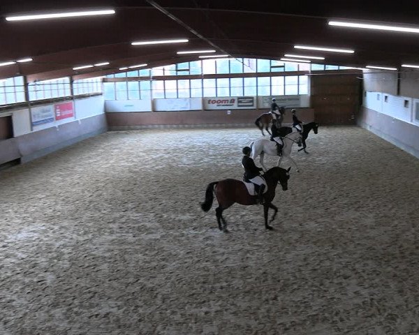Reitturnier Everswinkel 2022