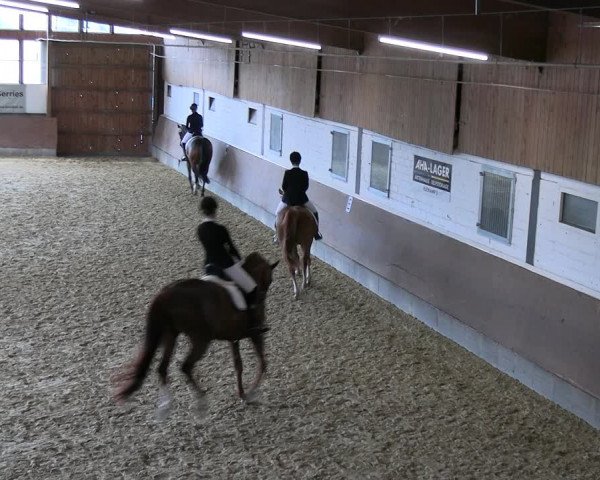 Reitturnier Everswinkel 2022