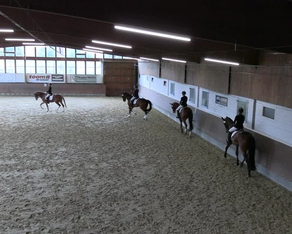 Reitturnier Everswinkel 2022