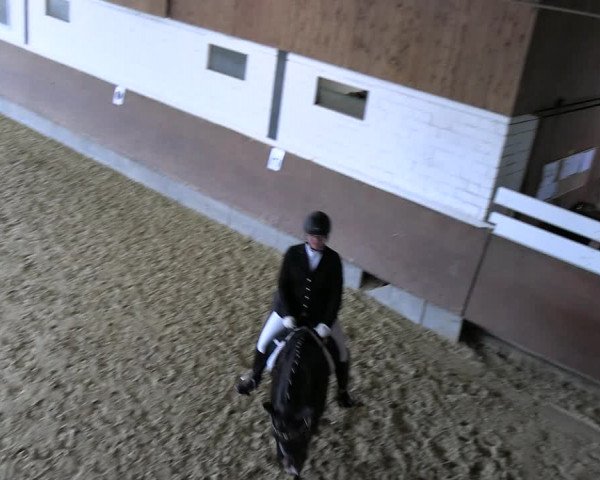 Reitturnier Everswinkel 2022