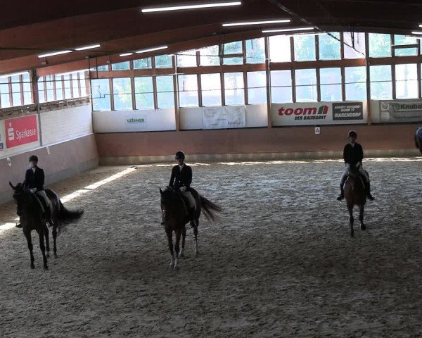 Reitturnier Everswinkel 2022