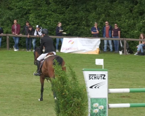 Reitturnier Jettingen 2022
