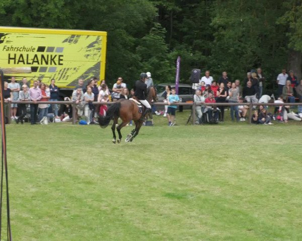 Reitturnier Jettingen 2022