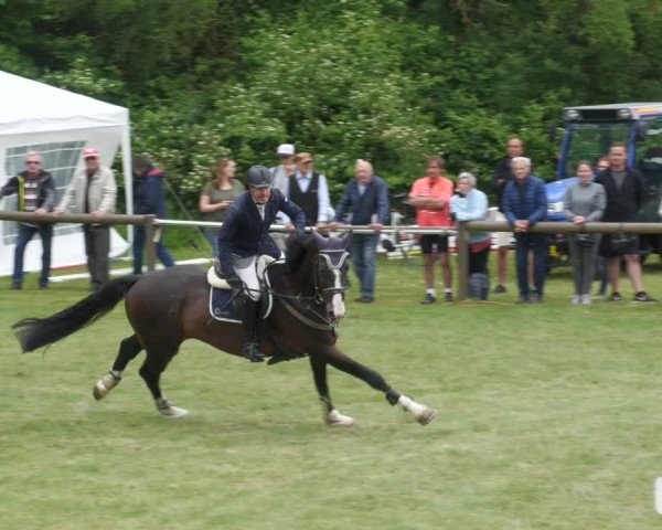 Reitturnier Jettingen 2022