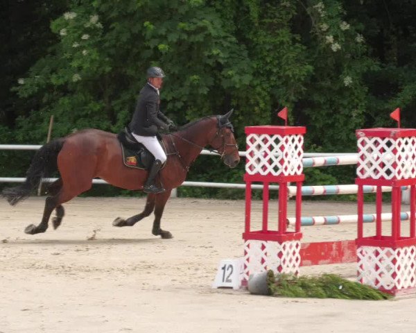 Reitturnier Losheim am See 2022