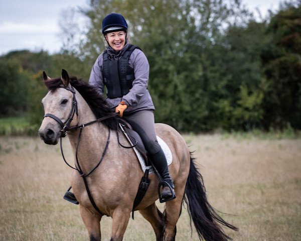 horse Ballynulty Cuckoo (Connemara Pony, 2012, from Eagles Rest)