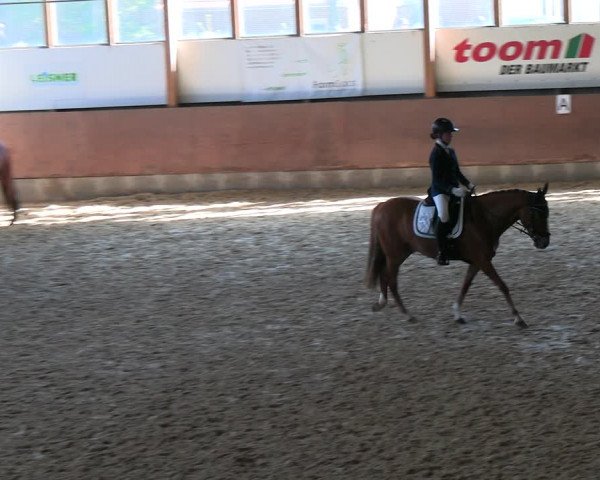 Reitturnier Everswinkel 2022