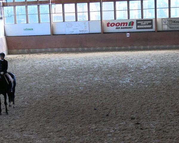 Reitturnier Everswinkel 2022