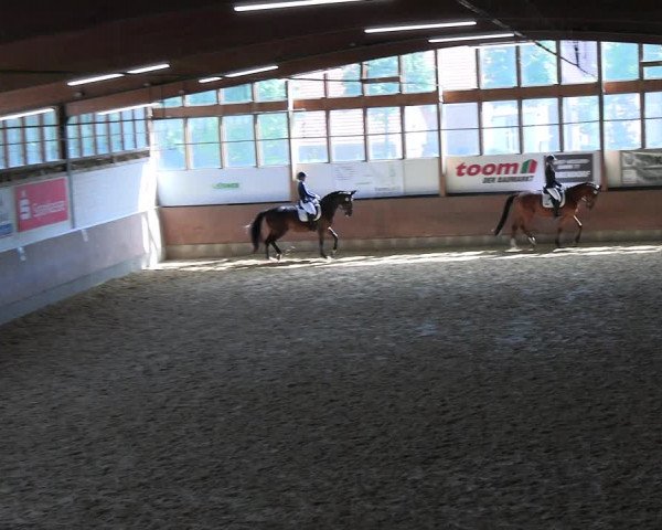 Reitturnier Everswinkel 2022