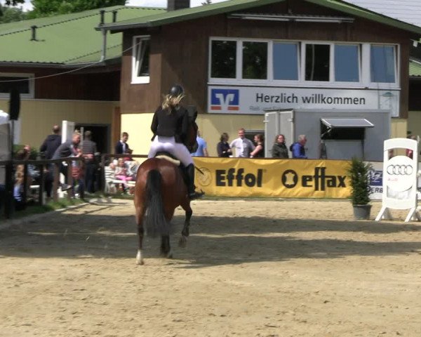 Reitturnier Everswinkel 2022