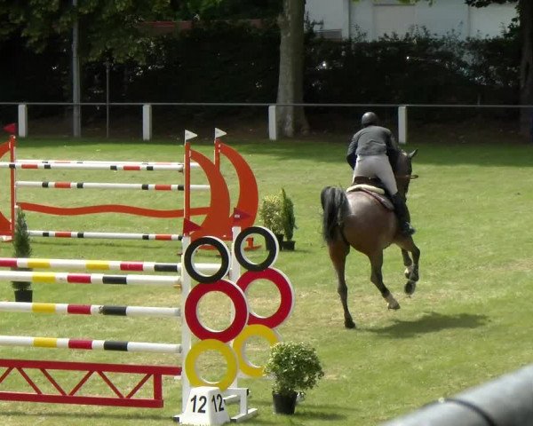 Reitturnier Forst 2022