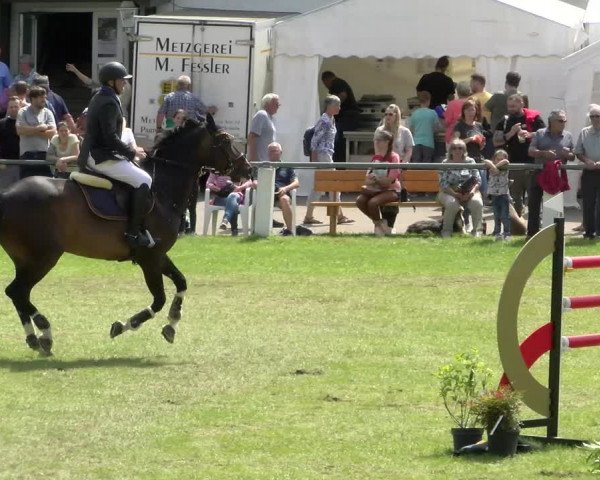 Reitturnier Forst 2022