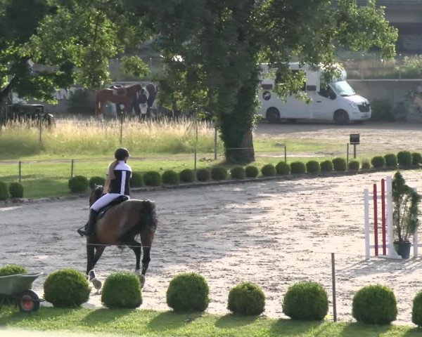 Reitturnier Schänzli, Basel 2022