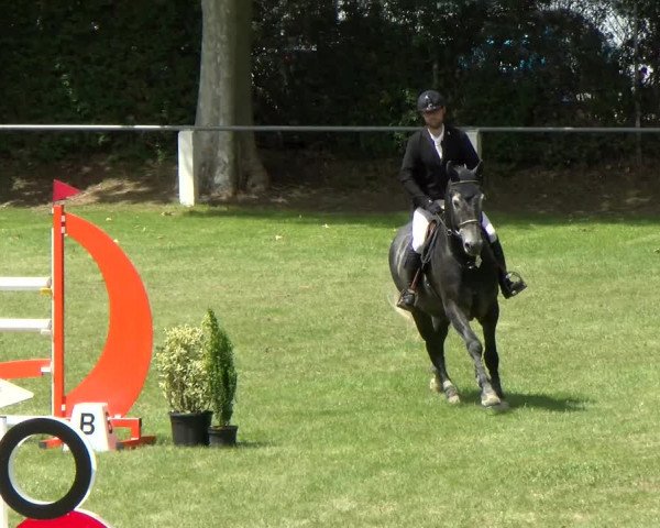 Reitturnier Forst 2022