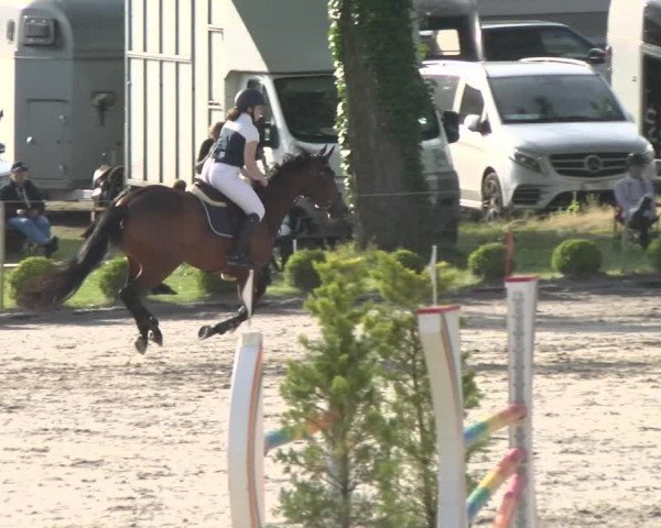 Reitturnier Schänzli, Basel 2022