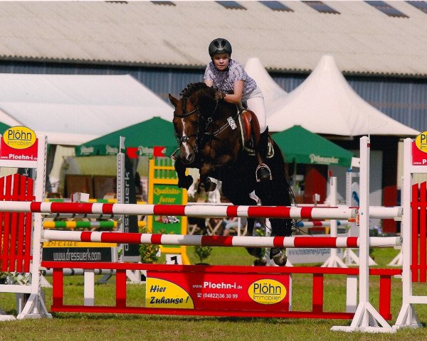 stallion Mac Murphy (German Riding Pony, 2004, from Mac Geyver)