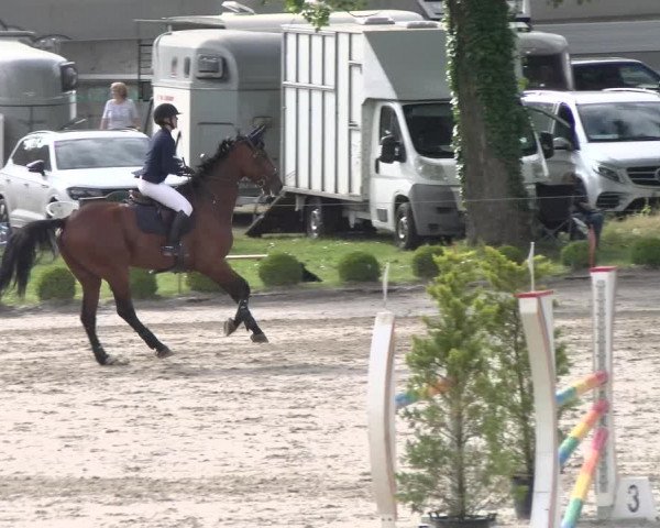 Reitturnier Schänzli, Basel 2022