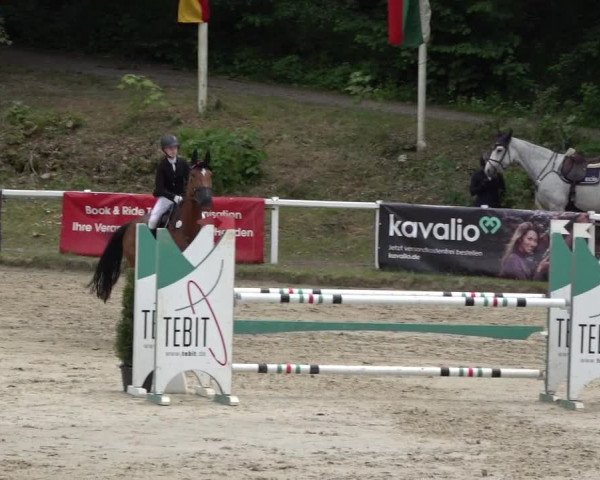 Reitturnier Siegen-Weidenau 2022