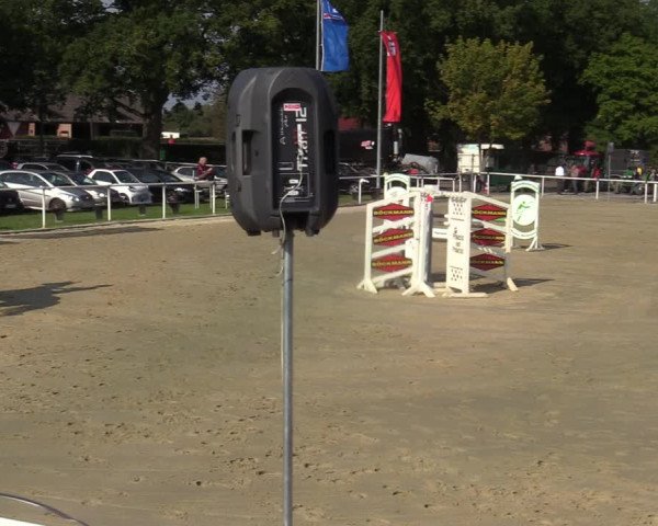 Reitturnier Ostenfelde-Vornholz 2021