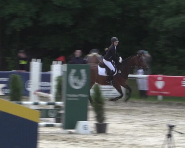 Reitturnier Siegen-Weidenau 2022