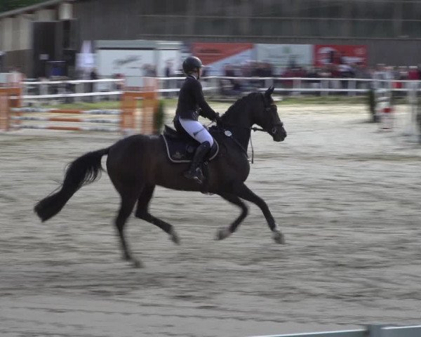 Reitturnier Siegen-Weidenau 2022