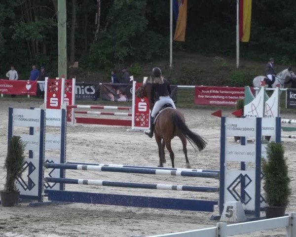 Reitturnier Siegen-Weidenau 2022