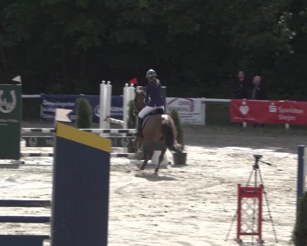 Reitturnier Siegen-Weidenau 2022