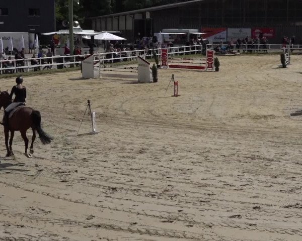 Reitturnier Siegen-Weidenau 2022