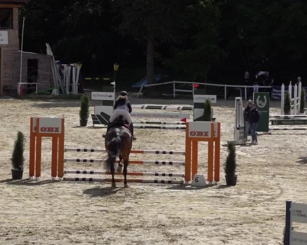 Reitturnier Siegen-Weidenau 2022