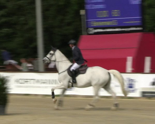 Reitturnier Everswinkel 2022