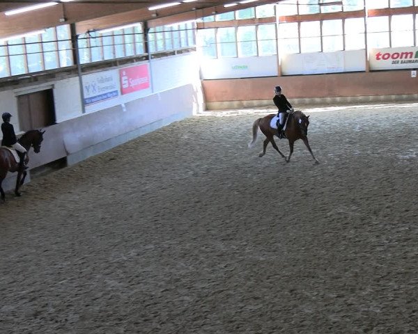 Reitturnier Everswinkel 2022