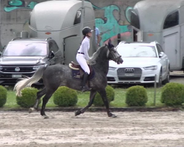 Reitturnier Schänzli, Basel 2022