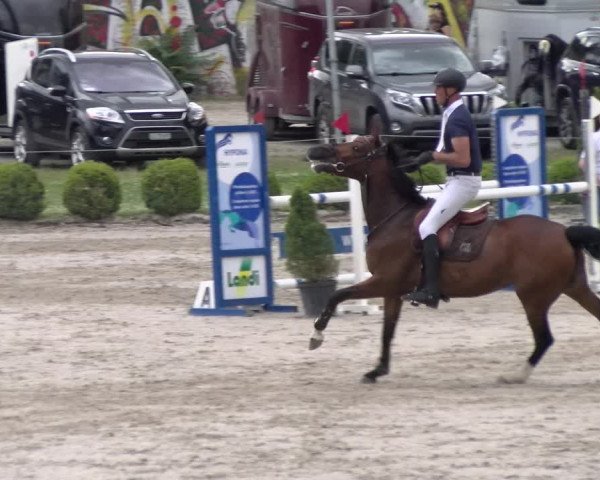 Reitturnier Schänzli, Basel 2022