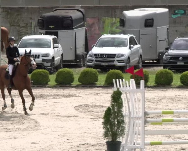 Reitturnier Schänzli, Basel 2022