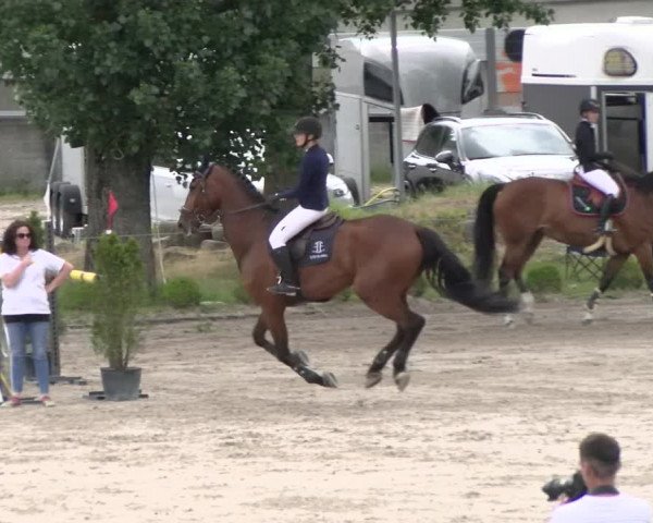Reitturnier Schänzli, Basel 2022