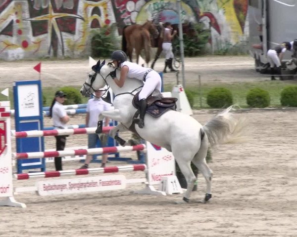 Reitturnier Schänzli, Basel 2022
