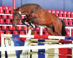 jumper Lord Quality (Oldenburg, 2010, from Lordanos)