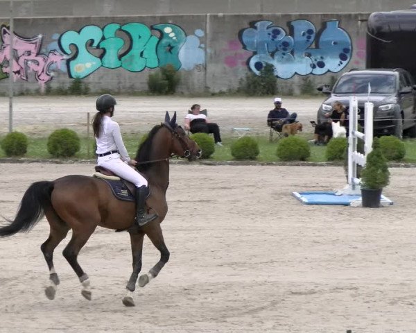Reitturnier Schänzli, Basel 2022