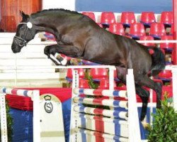 stallion Clin D'or (Oldenburg, 2010, from Clinton I)