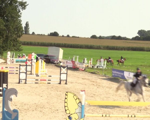 Springreitturnier Hohburg 2021