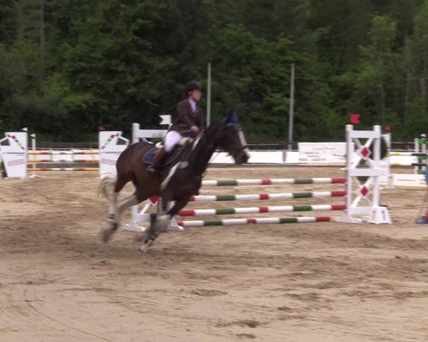 Reitturnier Frechen-Grefrath - Sonnenhof 2022