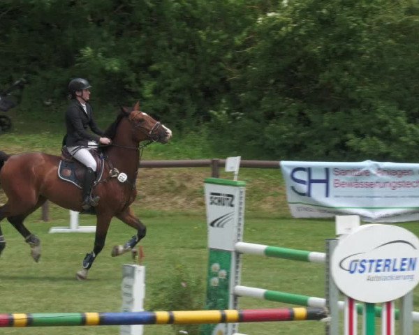 Reitturnier Jettingen 2022