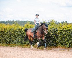 jumper Bl Dalessandro (Bavarian, 2007, from Birkhofs Denario)