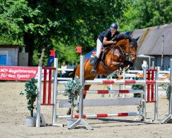 jumper Anton 748 (Holsteiner, 2011, from Aragorn W)