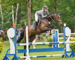 jumper Iva Mona (Holsteiner, 2016, from Calido I)