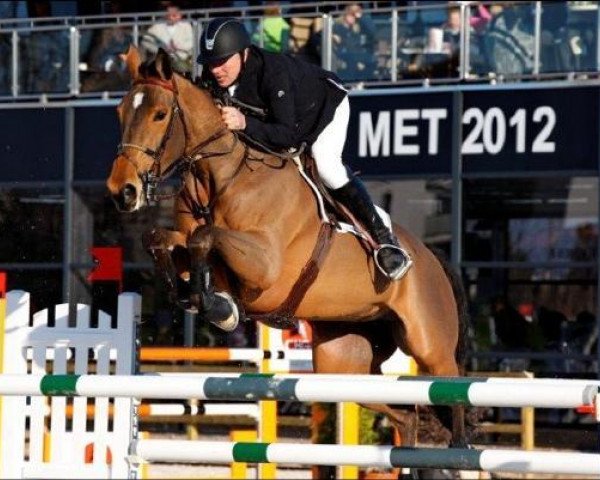 broodmare Nikyta D'Elle (Selle Français, 2001, from Richebourg)