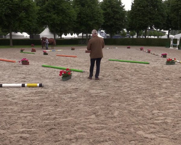 Euregio-Pferdeschau Aachen 2022