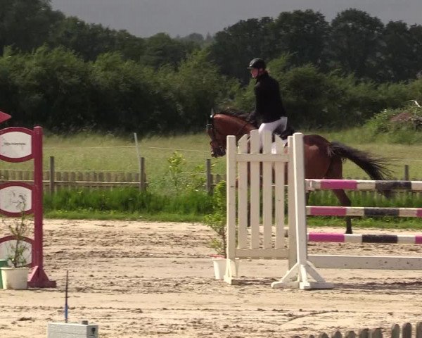 Reitturnier Schülp / Rendsburg 2022
