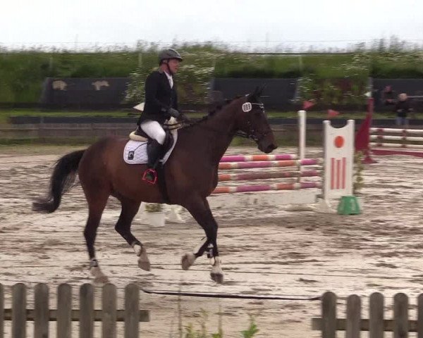 Reitturnier Schülp / Rendsburg 2022