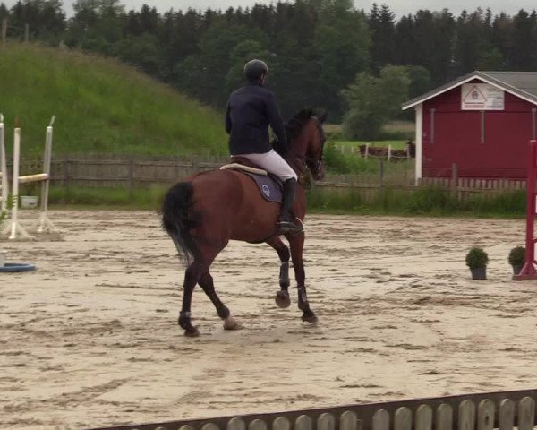 Reitturnier Schülp / Rendsburg 2022